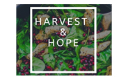 harvest-hope